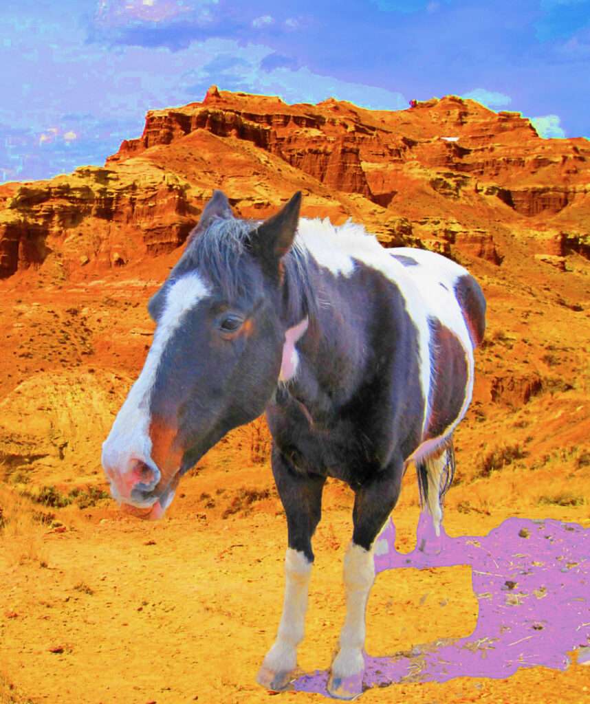 spotted horse with red cliffs