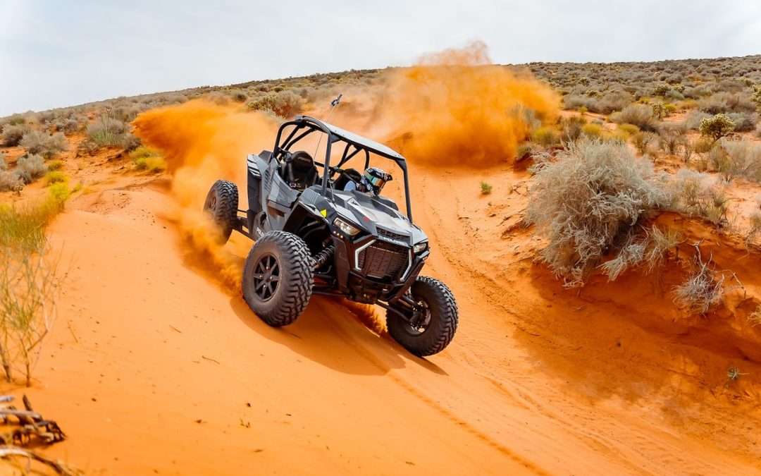 Mad Moose Rentals & Tours